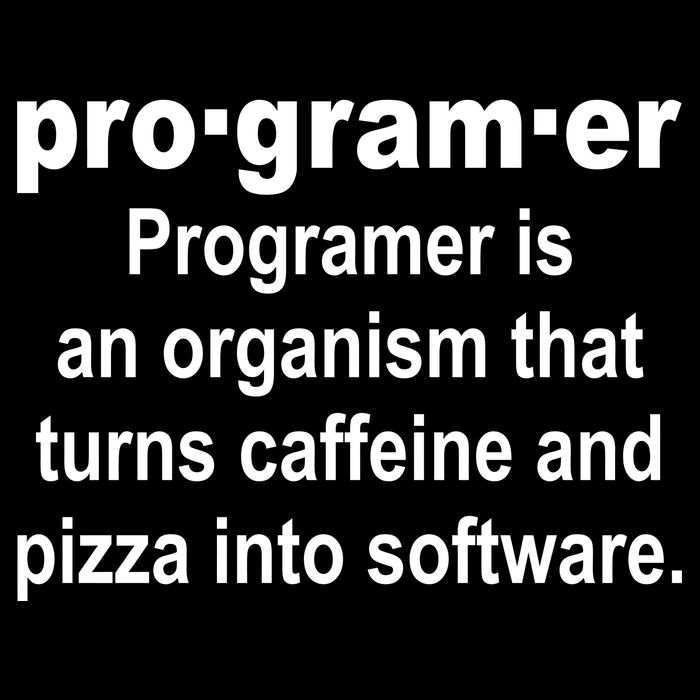 Definition of A Programmer Metallic Star Ornament