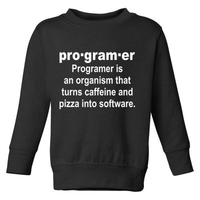 Definition of A Programmer Toddler Sweatshirt