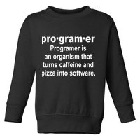 Definition of A Programmer Toddler Sweatshirt