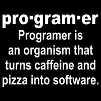 Definition of A Programmer Toddler T-Shirt
