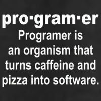 Definition of A Programmer Microfiber Hand Towel