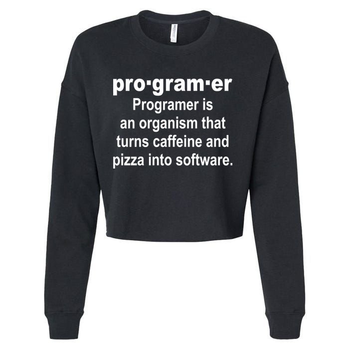 Definition of A Programmer Cropped Pullover Crew