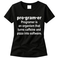 Definition of A Programmer Womens T-Shirt