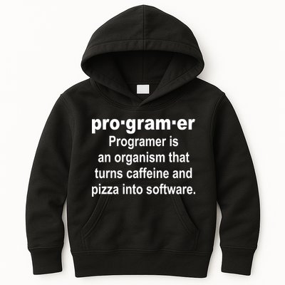 Definition of A Programmer Kids Hoodie