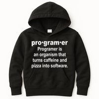 Definition of A Programmer Kids Hoodie
