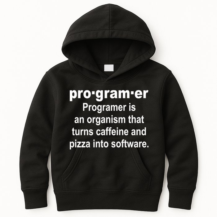 Definition of A Programmer Kids Hoodie