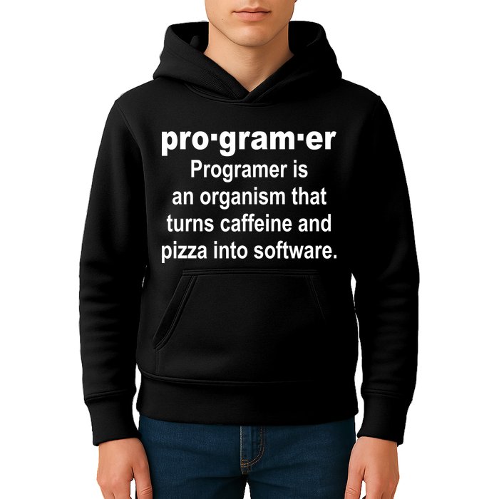 Definition of A Programmer Kids Hoodie