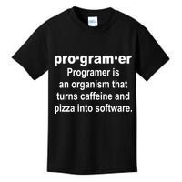 Definition of A Programmer Kids T-Shirt