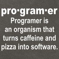 Definition of A Programmer Cotton Canvas Backpack