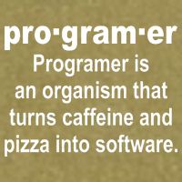 Definition of A Programmer Garment-Dyed Women's Muscle Tee