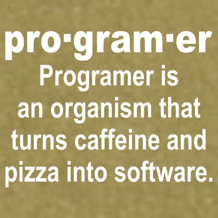 Definition of A Programmer Garment-Dyed Women's Muscle Tee