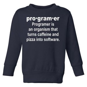 Definition of A Programmer Toddler Sweatshirt