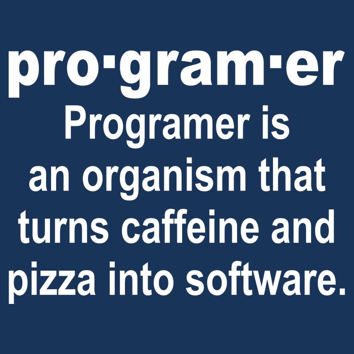 Definition of A Programmer Infant Baby Jersey Bodysuit