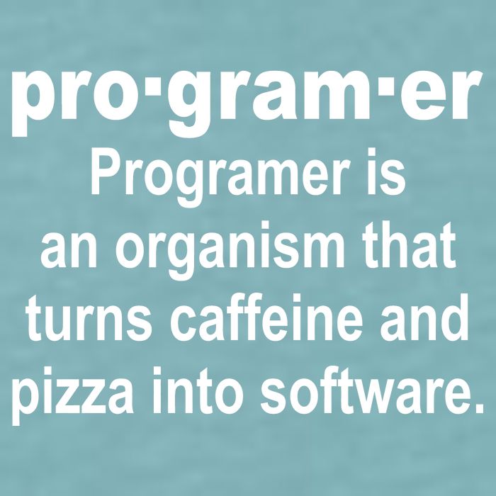 Definition of A Programmer Sueded Cloud Jersey T-Shirt
