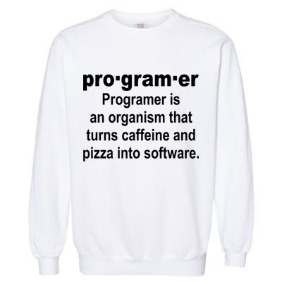 Definition of A Programmer Garment-Dyed Sweatshirt