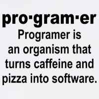 Definition of A Programmer Garment-Dyed Sweatshirt