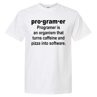 Definition of A Programmer Garment-Dyed Heavyweight T-Shirt