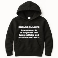 Definition of A Programmer Funny Coffee Kids Hoodie