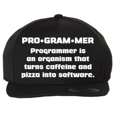 Definition of A Programmer Funny Coffee Wool Snapback Cap