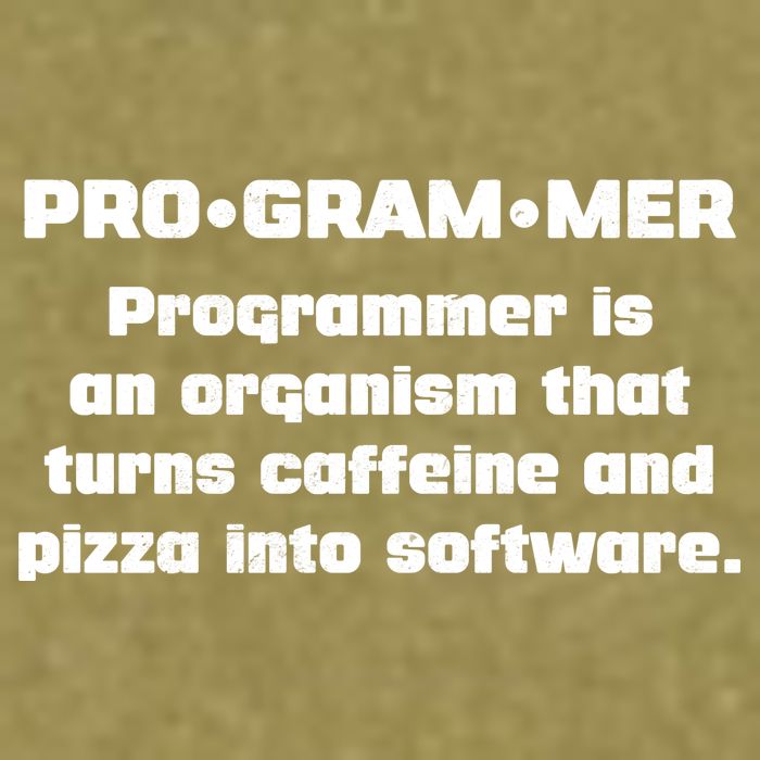 Definition of A Programmer Funny Coffee Garment-Dyed Women's Muscle Tee