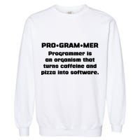 Definition of A Programmer Funny Coffee Garment-Dyed Sweatshirt