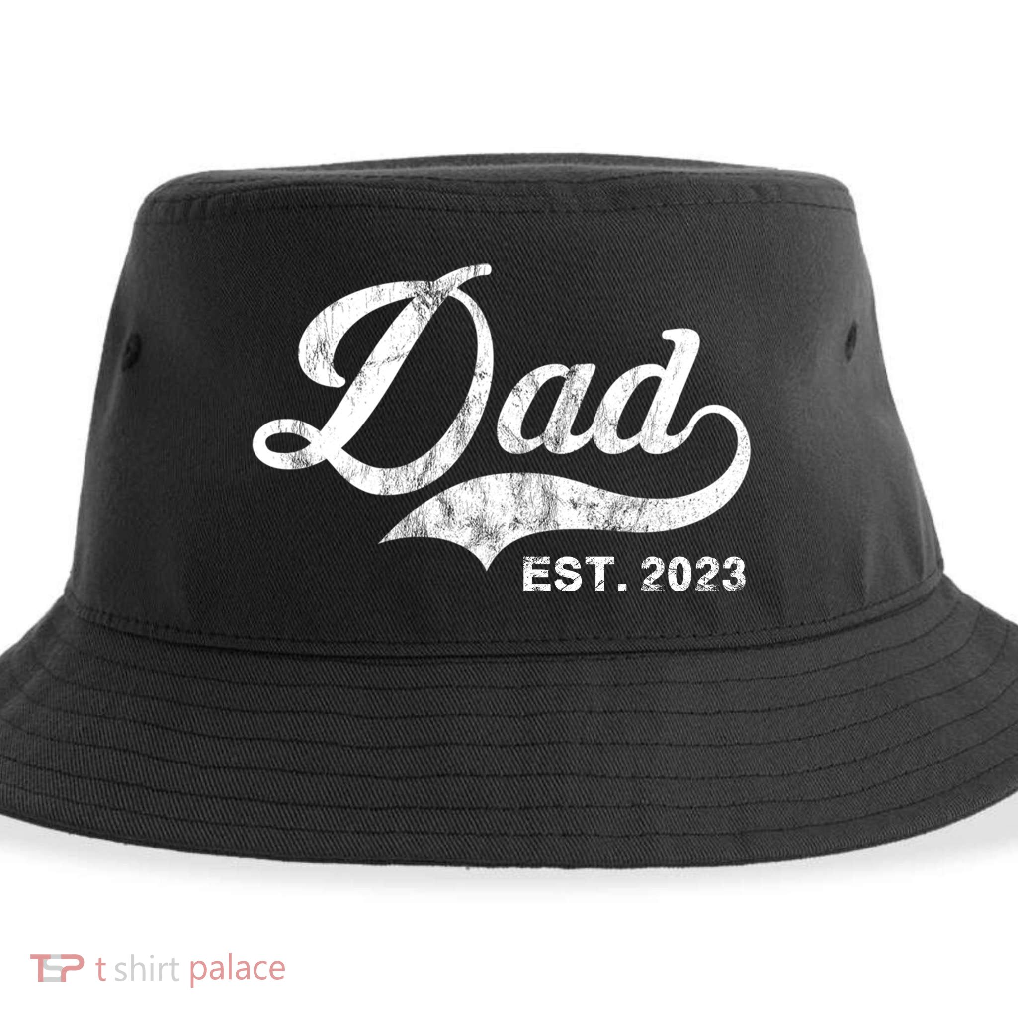 Dad Established In 2011 Worlds Best Fathers Day Cool Gift Sustainable Bucket Hat