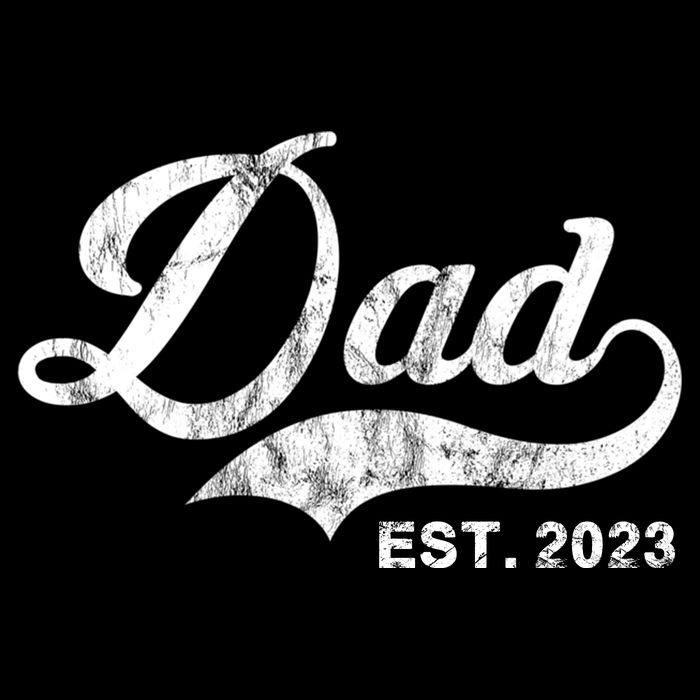 Dad Established In 2011 Worlds Best Fathers Day Cool Gift Wool Snapback Cap