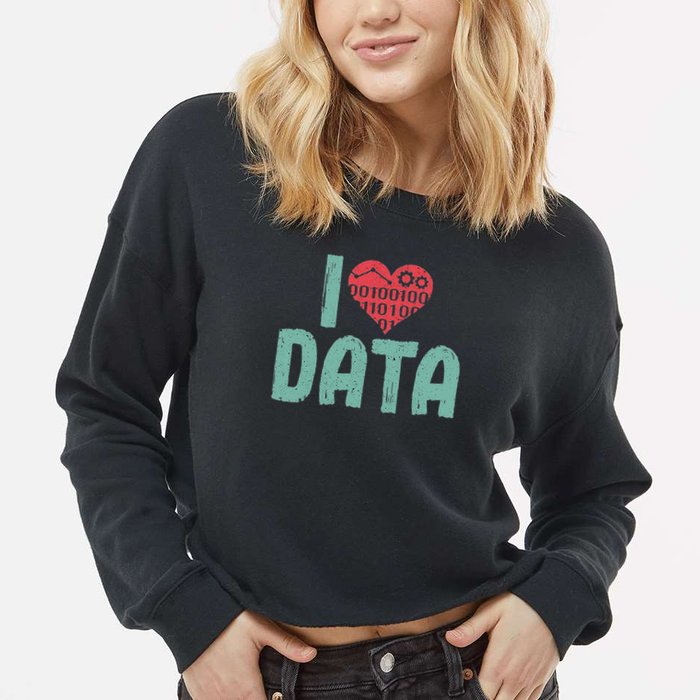 Data Encoder I Love Statistics Data Science Data Analysts Cropped Pullover Crew