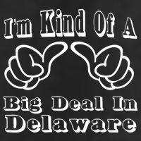 Delaware Big Deal Adult Drive Performance Visor