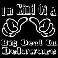 Delaware Big Deal Bag