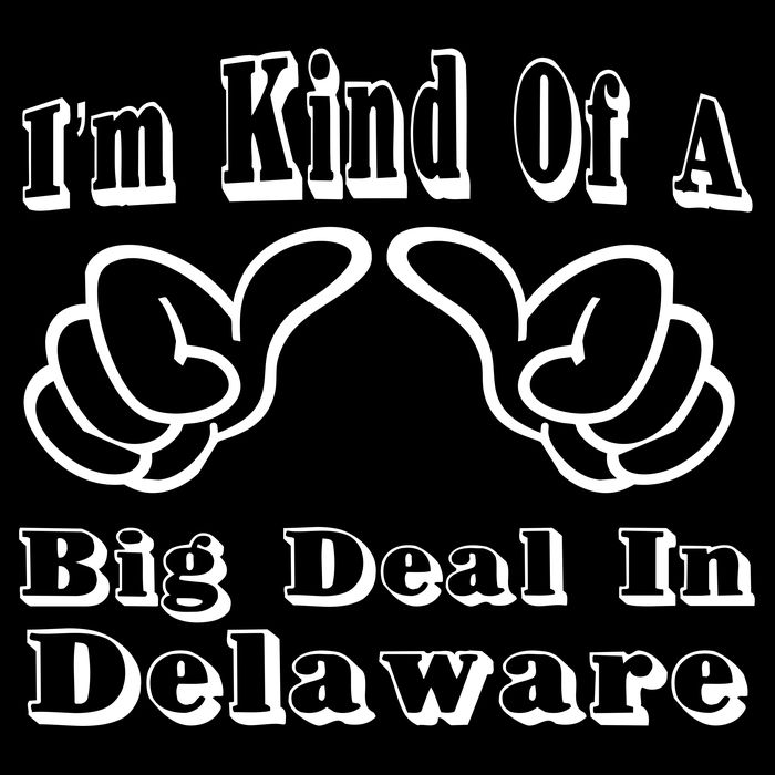 Delaware Big Deal Bag