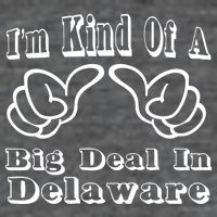 Delaware Big Deal Zip Tote Bag