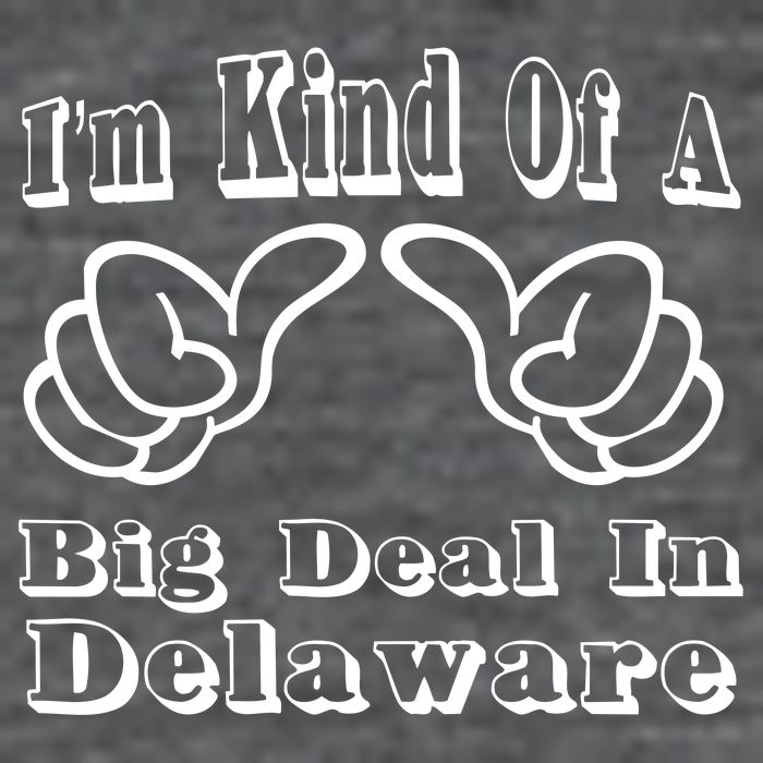 Delaware Big Deal Zip Tote Bag