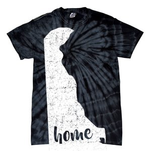 Delaware Home State Tie-Dye T-Shirt