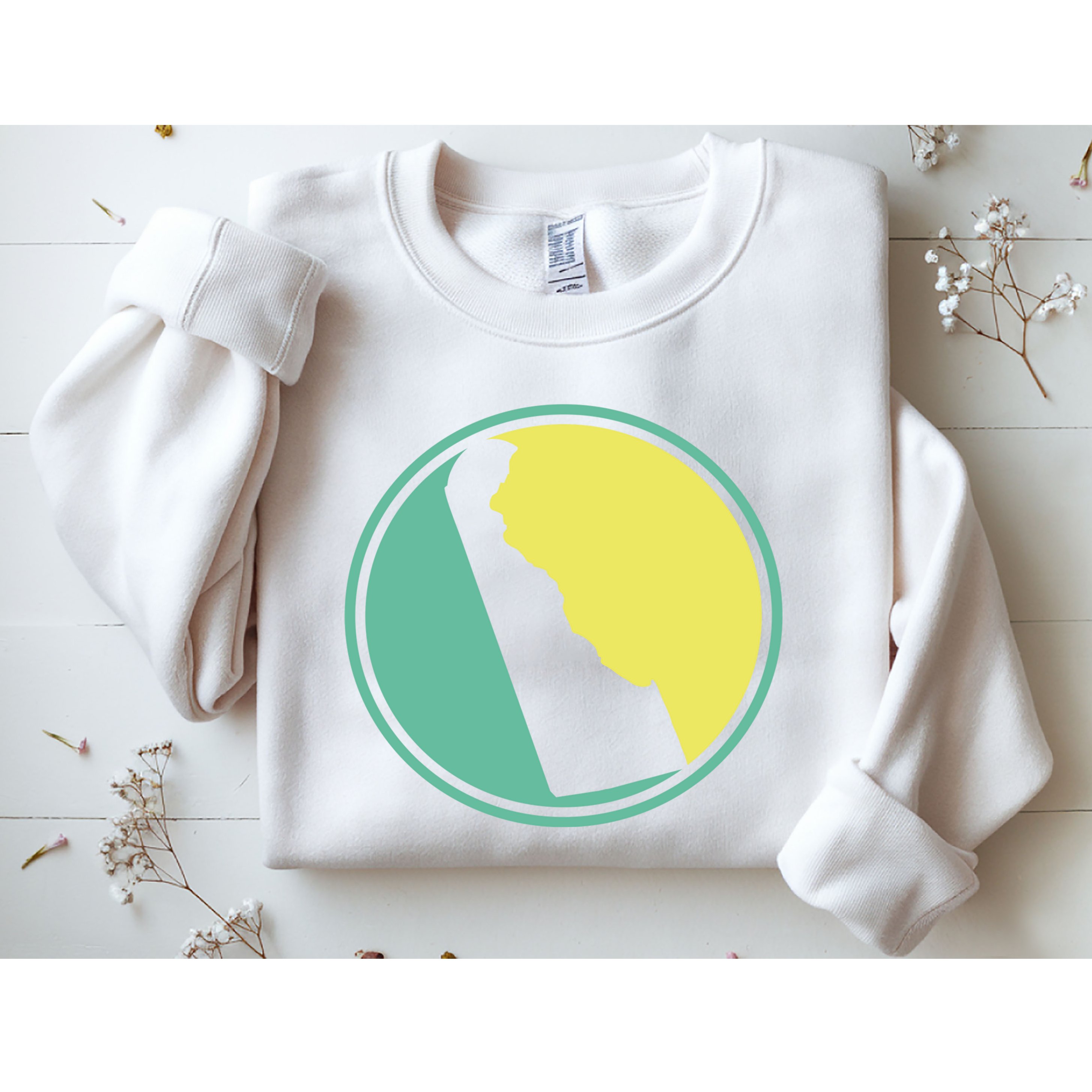 Delaware Vintage State Logo Sweatshirt