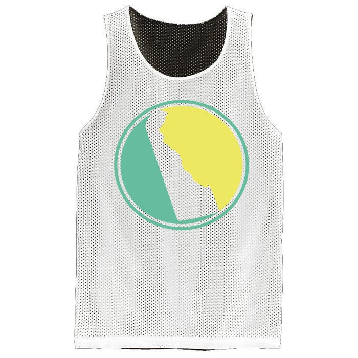 Delaware Vintage State Logo Mesh Reversible Basketball Jersey Tank