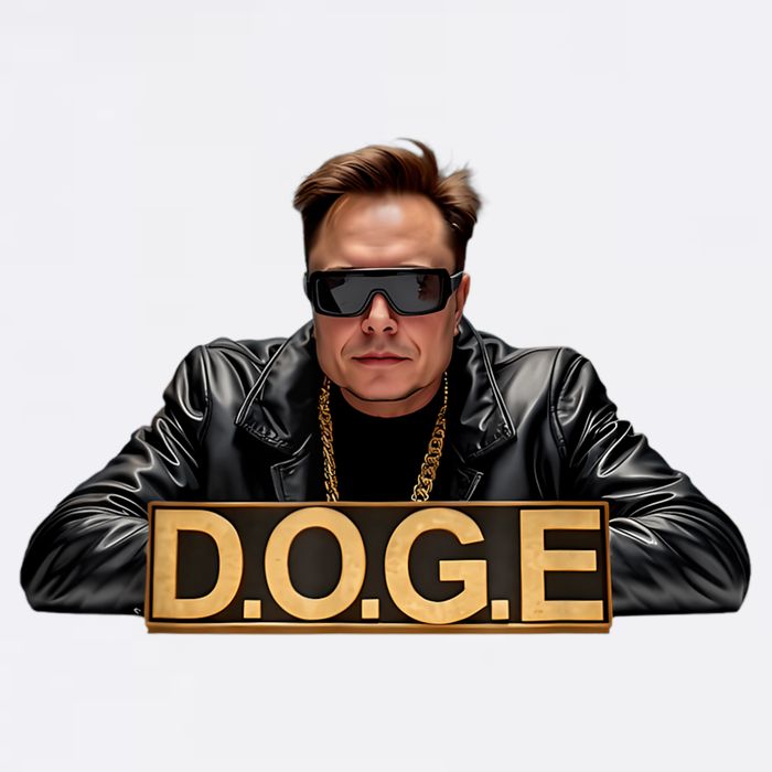 Doge Elon Musk Garment-Dyed Heavyweight T-Shirt