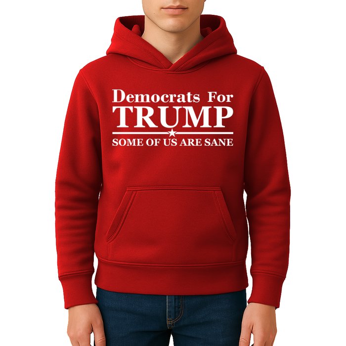 Democrats For Trump Some Of Us Are Sane Kids Hoodie