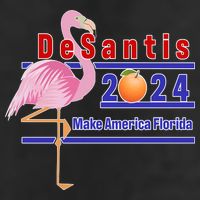 DeSantis 2024 Make America Florida Flamingo Adult Drive Performance Visor