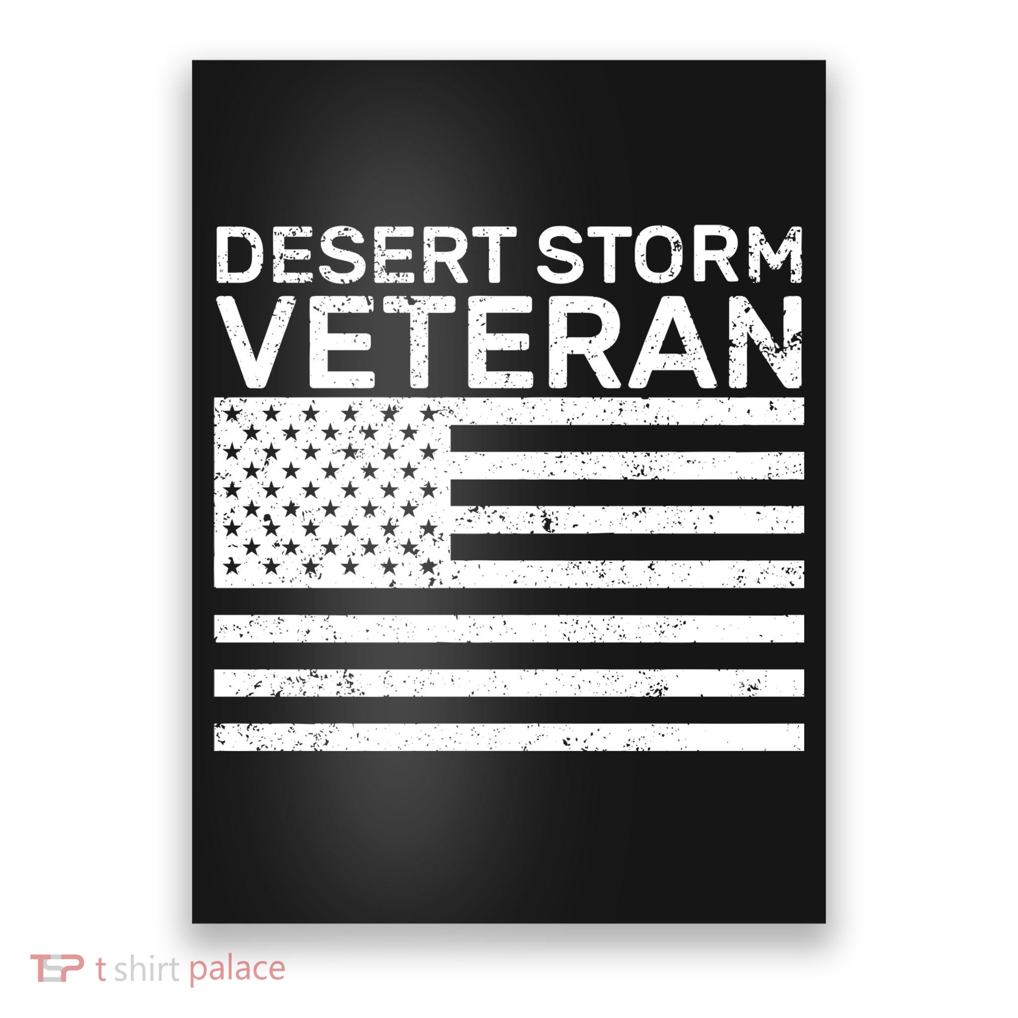 Desert Storm Veteran Poster