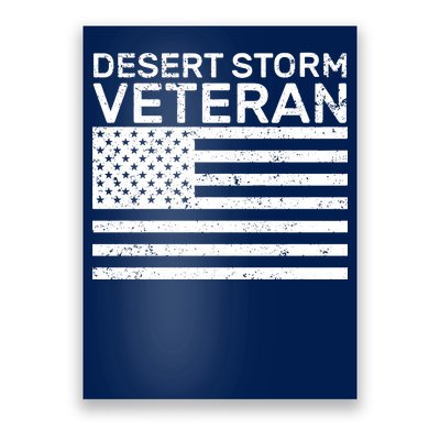 Desert Storm Veteran Poster