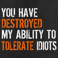 Destroyed Ability Tolerate Idiots Garment-Dyed Fleece Hoodie