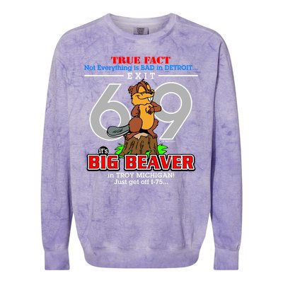 Detroit True Fact Big Beaver Exit 69 Colorblast Crewneck Sweatshirt