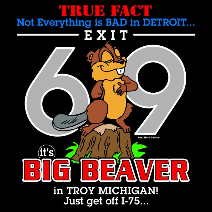 Detroit True Fact Big Beaver Exit 69 Impact Tech Backpack