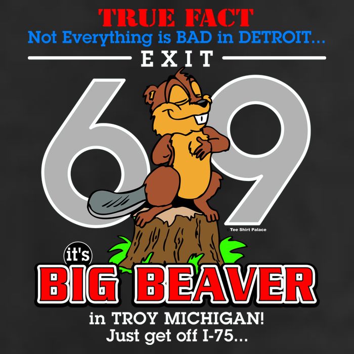 Detroit True Fact Big Beaver Exit 69 15oz Campfire Ceramic Mug