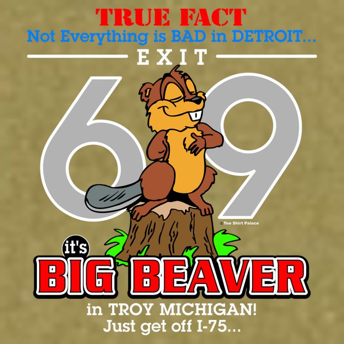 Detroit True Fact Big Beaver Exit 69 Garment-Dyed Women's Muscle Tee