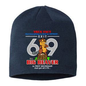 Detroit True Fact Big Beaver Exit 69 Sustainable Beanie