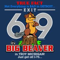 Detroit True Fact Big Beaver Exit 69 16 in Basic Backpack