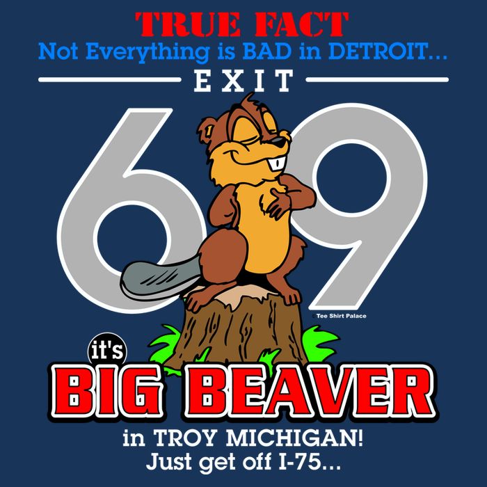 Detroit True Fact Big Beaver Exit 69 16 in Basic Backpack