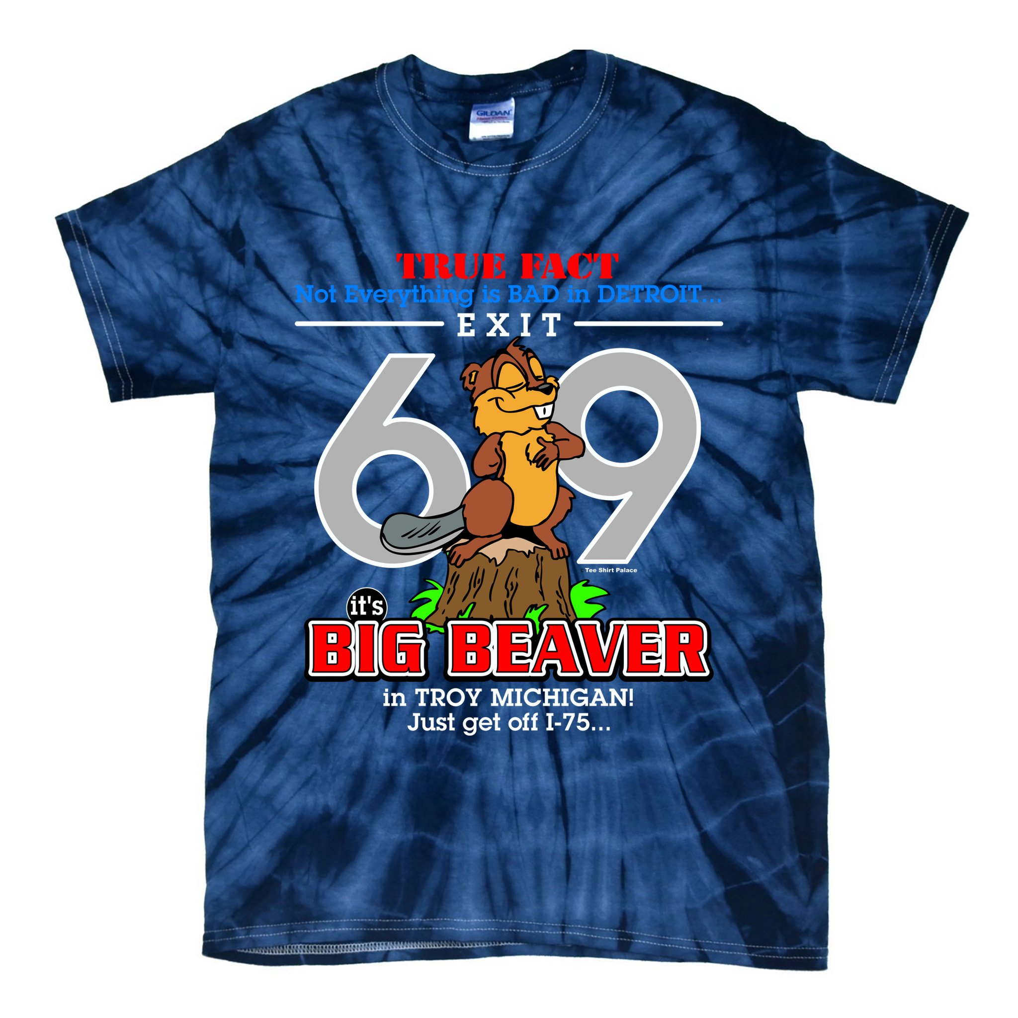 Detroit True Fact Big Beaver Exit 69 Tie-Dye T-Shirt
